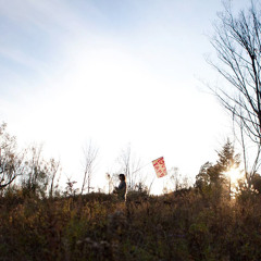 Franco+Rossi are LoveTaps