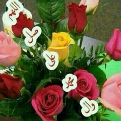 sayedtalib