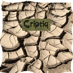 Criptiq