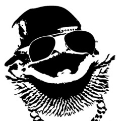 BeardedDragonProductions