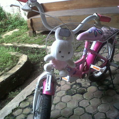 Emil Prasaja Mudigdo