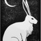 Six Darko