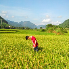 Hùng Phi