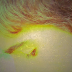 David muñoz sánchez 2