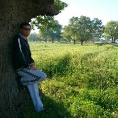 Ehsan Nadaffard