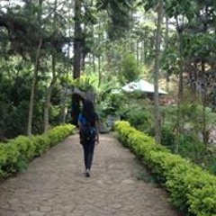 Kristel Coeli Songco