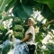 Anna Holmberg 4