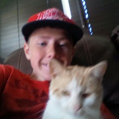 wwe
