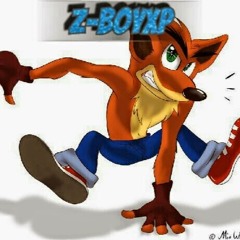 Z-BoyXP Z
