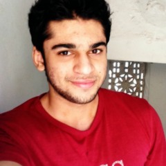 Hammad Hussain 13