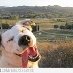 Iñaqui D'Pablo Williams