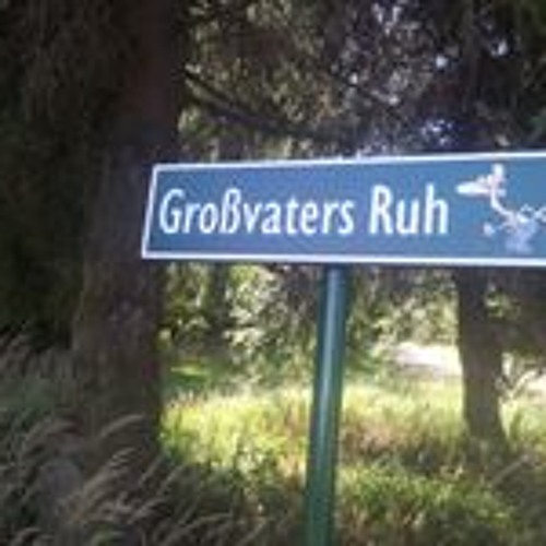 Hoher Flug, tiefer Fall