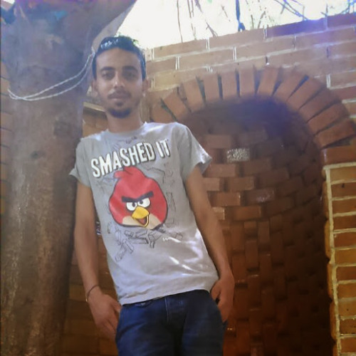 algokar