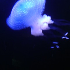 Jessica Mehreider Andrade