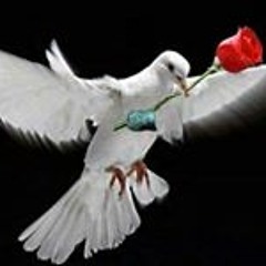 user967361553
