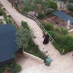 bayan a. jaber