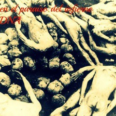 solitarioakacarnicero