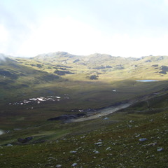 LuisMelgar