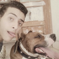 user843310603