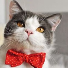 Esteban Guerrero Cid