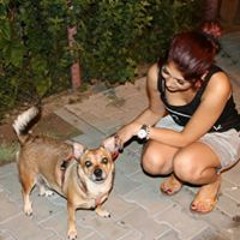 Varinia-alida Gavrila