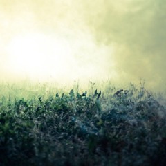 urbik_2511