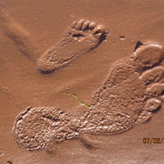 Betawave (Shawn Doiron)