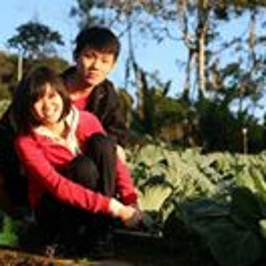 Vernice Lum