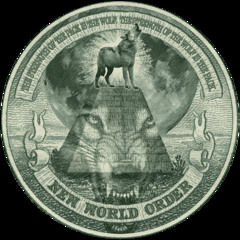 Canarsie kash a.k.a. New money Wolfpack the gang