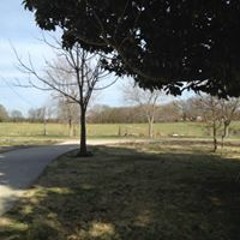 Brayden Kent Winchester