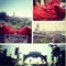 thecool-2
