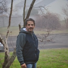 walid helmy