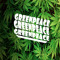 GreenPeaceOfficial