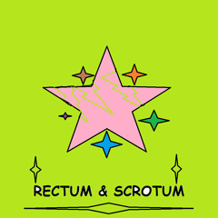 Rectum & Scrotum