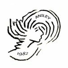 Aniley Artista Visual