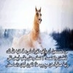 ‎⁨#نار الحب طفت بل روح - YouTube⁩