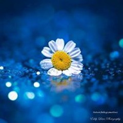 Shumaila Shahab