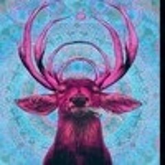 Murat Arda özçakan