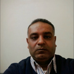 mohamed wahab 8