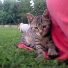 Maria Anabell Ohrstedt