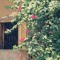 user169720866