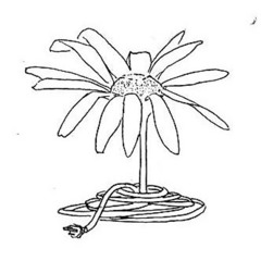 The Electric Daisies