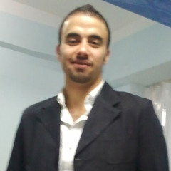 mohamed abd-elrazek 1