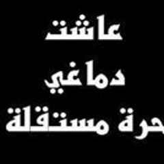 Mohamed Samy 444