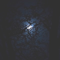 Moonshine Blues