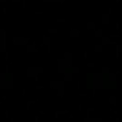 Simona Siminiceanu 1