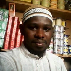 Mamadou Samba Diallo 2