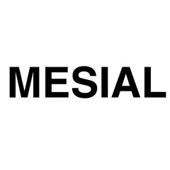 Mesial