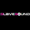 SlaveSound