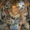 deejay eddy laton jr